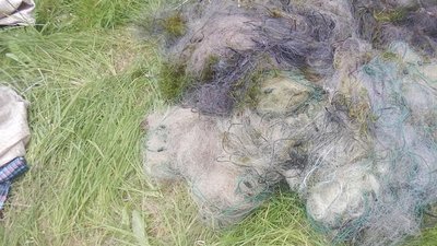 Браконьєрство, порушення, жилкові сітк, риба, підозра