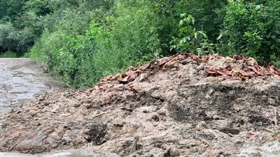 На Львівщині невідомі викинули рештки тварин На Львівщині невідомі викинули рештки тварин