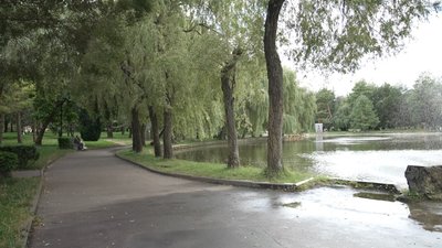 Прогноз погоди на 29 серпня