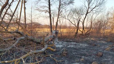 На Івано-Франківщині через пожежу сухостою три села залишилися без електропостачання