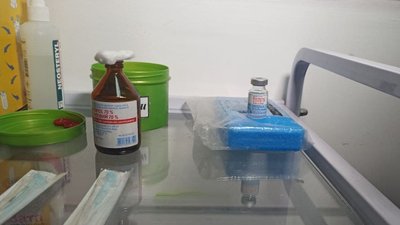 Вихідними на Кіровоградщині вакцинували рекордну кількість людей