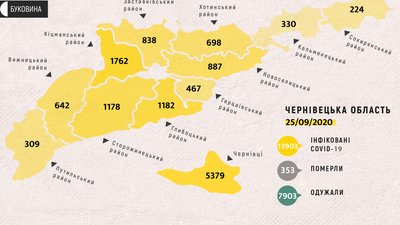 За добу на Буковині виявили понад 160 інфікованих: географія поширення COVID-19 За добу на Буковині виявили понад 160 інфікованих: географія поширення COVID-19