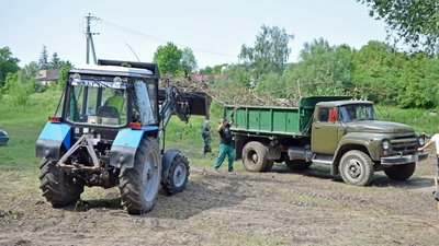 Територію пляжу очищають від сухого гілля