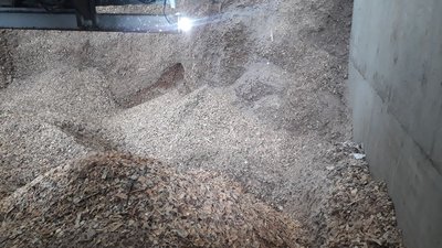На Житомирщині показали ТЕС, яка виробляє електроенергію з вербної біомаси