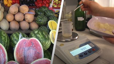 З липня у Житомирі лабораторія ринку заборонила продаж 1880 кілограмів кавунів та динь