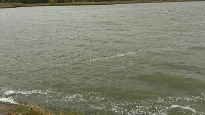 забродівське водосховище