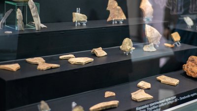 Понад 1 000 пам'яток: у краєзнавчому музеї на Тернопільщині відкрили першу експозицію Понад 1 000 пам'яток: у краєзнавчому музеї на Тернопільщині відкрили першу експозицію