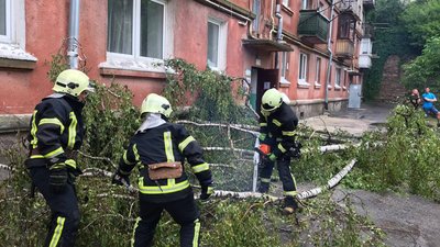 У Тернополі під час негоди повалило дерева та залило вулиці У Тернополі під час негоди повалило дерева та залило вулиці