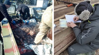 На Черкащині рибу, яку вилучили у браконьєрів, передали на потреби тероборони На Черкащині рибу, яку вилучили у браконьєрів, передали на потреби тероборони