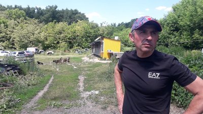 Сумські волонтери отримали гуманітарну допомогу для безпритульних тварин Сумські волонтери отримали гуманітарну допомогу для безпритульних тварин