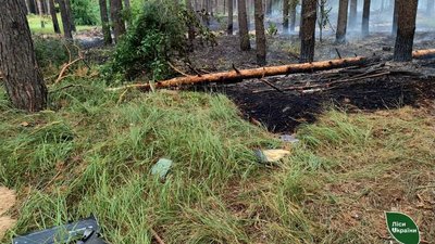 На Полтавщині через атаку російських дронів спалахнула лісова пожежа