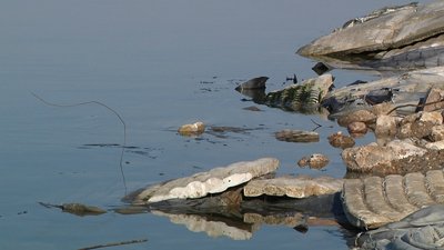 У разі повторення негоди Одесі загрожує потоп — Одеський міський голова У разі повторення негоди Одесі загрожує потоп — Одеський міський голова