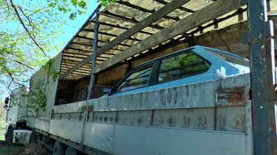 Родина з Лисичанська вивезла 34 коти та вісім собак Родина з Лисичанська вивезла 34 коти та вісім собак