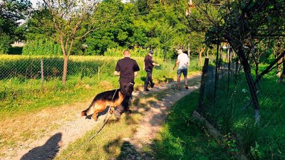 Пошуки зниклого хлопчика Пошуки зниклого хлопчика