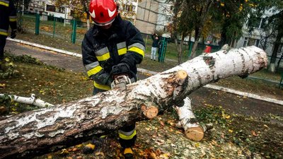 Поблизу дитячого майданчика рятувальники ріжуть дерево, яке впало внаслідок сильного вітру, 28 жовтня 2023, Хмельниччина Поблизу дитячого майданчика рятувальники ріжуть дерево, яке впало внаслідок сильного вітру, 28 жовтня 2023, Хмельниччина