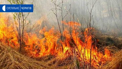 У Бахмацькому районі горить село через підпал трави з 4 сторін