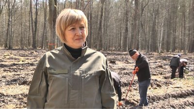 Дуби та сосни: на Волині переселенці з лісівниками засадили п'ять гектарів лісу Дуби та сосни: на Волині переселенці з лісівниками засадили п'ять гектарів лісу