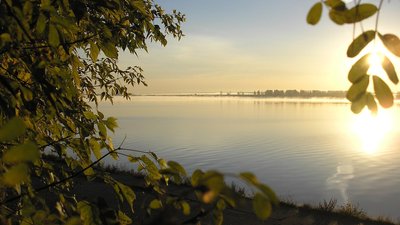З початку літа на водоймах Дніпропетровщини загинули 29 людей, серед них двоє — діти