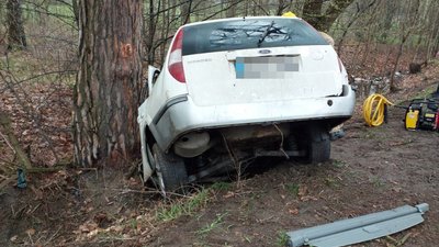 Загинула водійка легковика та її 25-річний син: на Житомирщині "FORD" врізався в дерево Загинула водійка легковика та її 25-річний син: на Житомирщині "FORD" врізався в дерево