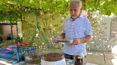 Виноград Виноград