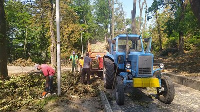 Предмети побуту та скульптури: як у Львові використають повалені дерева Предмети побуту та скульптури: як у Львові використають повалені дерева