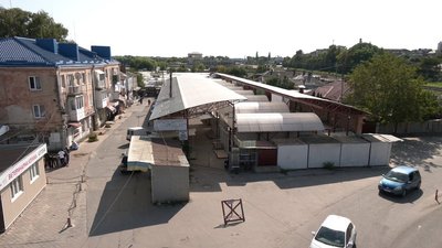 У центрі Рівного ввели карантин на 60 днів через сказ у лисиці