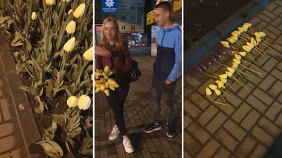 У Рівному упіймали першого в цьому році крадія тюльпанів з міських клумб