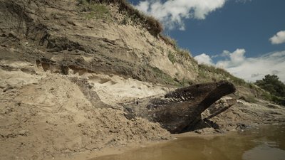 Немає статусу пам’ятки: у Чернігові поліція не шукає викрадену носову частину старовинного човна Немає статусу пам’ятки: у Чернігові поліція не шукає викрадену носову частину старовинного човна