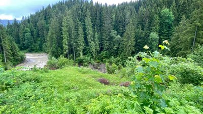 Озеро Криве на Прикарпатті: через зсув утворилося, через нього й зникло