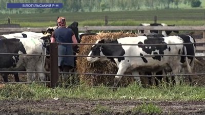 Держдопомога для підтримки тваринництва: хто може на неї розраховувати на Сумщині Держдопомога для підтримки тваринництва: хто може на неї розраховувати на Сумщині