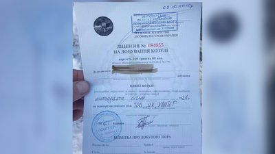 На Житомирщині в авто керівника мисливського клубу знайшли мертву козулю – протокол направили в суд На Житомирщині в авто керівника мисливського клубу знайшли мертву козулю – протокол направили в суд