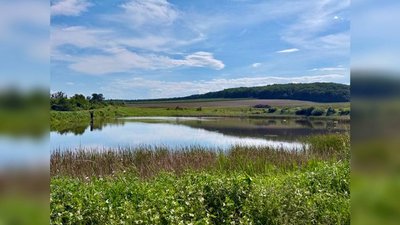 у чернівцях міськрада здала в оренду ставки через аукціон