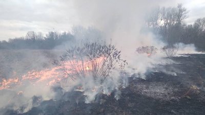 "Здай" палія: у громаді на Закарпатті платитимуть гроші за повідомлення про спалювання сухостою