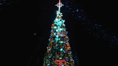 Вінницька ялинка перемогла у "конкурсі краси" серед новорічних дерев України Вінницька ялинка перемогла у "конкурсі краси" серед новорічних дерев України