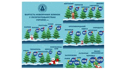 Держагенство лісових ресурсів назвало ціни на новорічні ялинки Держагенство лісових ресурсів назвало ціни на новорічні ялинки
