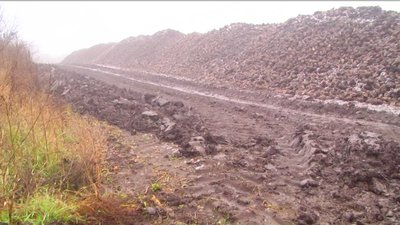 Мешканці Вінниччини перекрили дорогу аби вантажівки з буряками не розбивали її Мешканці Вінниччини перекрили дорогу аби вантажівки з буряками не розбивали її