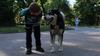 Погода, спека, дощ, грози, град, прогноз, синоптик