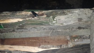 На Вінниччині від ножового поранення помер неповнолітній На Вінниччині від ножового поранення помер неповнолітній