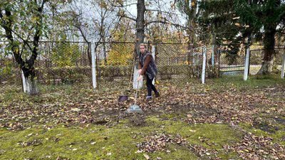 сад, город, добрива, мульчування, роботи у жовтні, підготовка до зими, збір урожаю