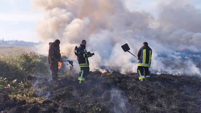 Підпали в дев'яти селах: на Волині за добу вигоріли майже 16 гектарів сухостою