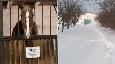 Через замети призупинили роботу кінноспортивного клубу у Великій Омеляній