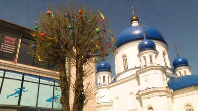 У Житомирі на Михайлівській почали висаджувати живі квіти У Житомирі на Михайлівській почали висаджувати живі квіти