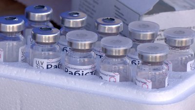 У Вінниці безкоштовно вакцинують домашніх котів та собак від сказу У Вінниці безкоштовно вакцинують домашніх котів та собак від сказу