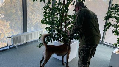 Псевдомінування торговельних центрів у Харкові: евакуювали пів тисячі людей Псевдомінування торговельних центрів у Харкові: евакуювали пів тисячі людей