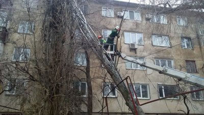 У Миколаєві дерево впало на газопровід У Миколаєві дерево впало на газопровід