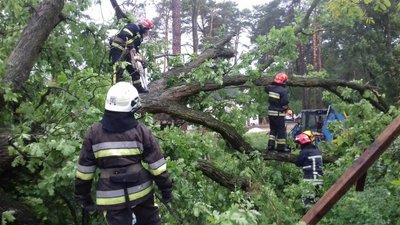 На Львівщині дерево впало на дачний будинок: загинула жінка