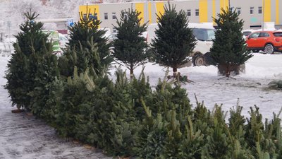 Дніпро після нічного снігопаду. Фоторепортаж Дніпро після нічного снігопаду. Фоторепортаж