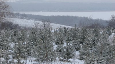 Сніг з дощем, пориви вітру та заморозки. Погода на Донеччині на вихідних
