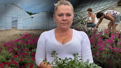 Новий тепличний комплекс на території КП «Декоративні культури» у Полтаві