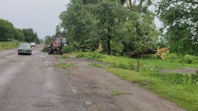 Повалені дерева: через негоду на дорогах Буковини ускладнений рух Повалені дерева: через негоду на дорогах Буковини ускладнений рух